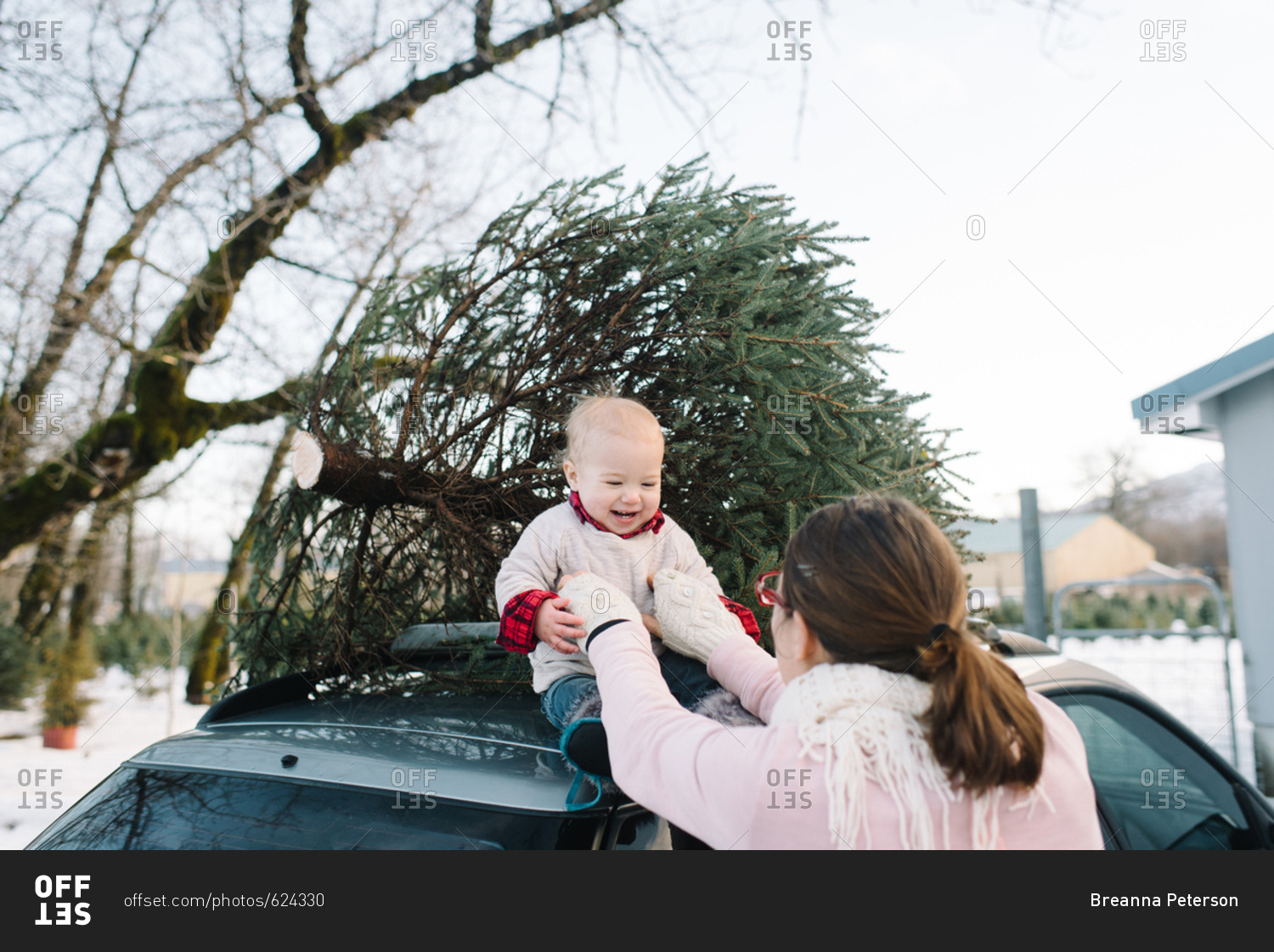 Mother lifts baby atop car with Christmas tree