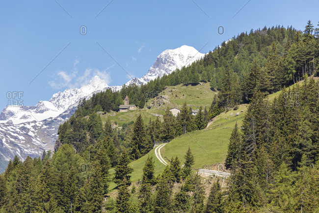 Green forest and snowy mountains, San Romerio Alp, Brusio, Canton of Graubunden, Poschiavo Valley, Switzerland, Europe