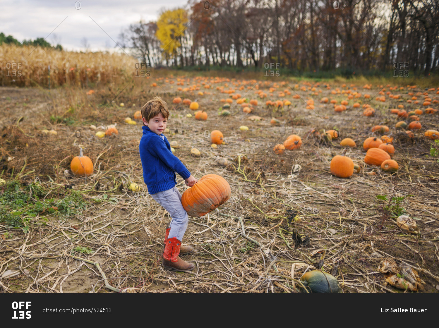 pumpkin 12s release date