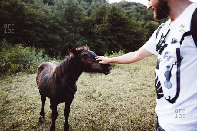 Cheerful bearded man standing and stroking small foal in nature.