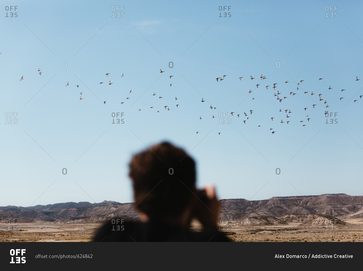 Unrecognizable man taking pictures of flying birds on sunny day in desert.