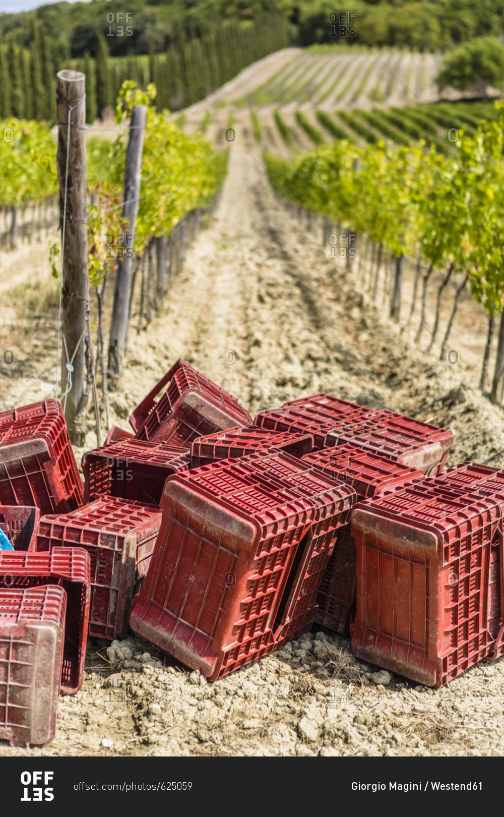 Empty boxes in a vineyard