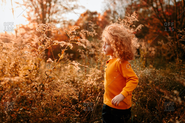 Child walking on autumn day