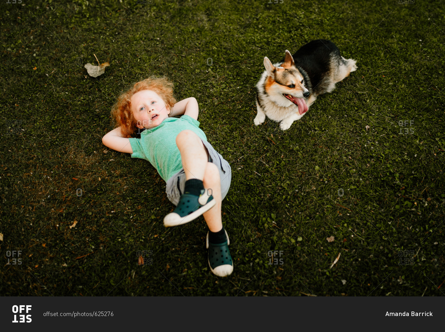 Child and dog laying in fresh cut grass