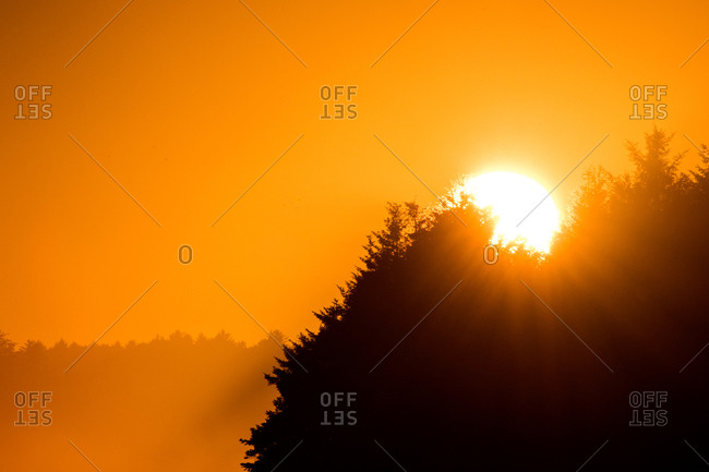 Orange sunset over trees - Offset