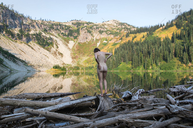 August 28, 2017 Rear view of nude woman standing on driftwood by lake stock photo picture pic