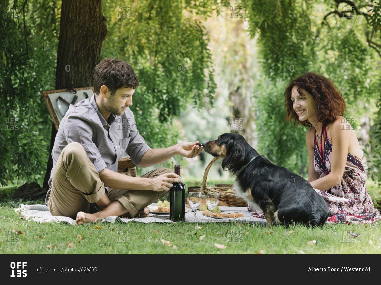 Couple with dog having a picnic in a park
