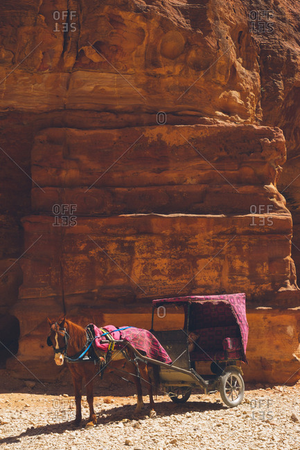 Horse drawn carriage in Petra, Jordan
