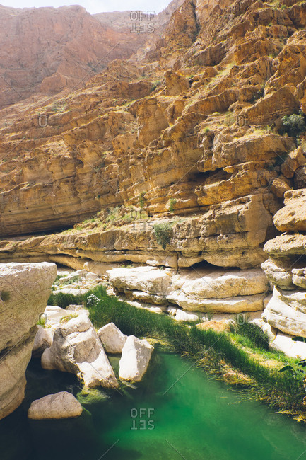 Green river in the canyons of Wadi Shab, Oman