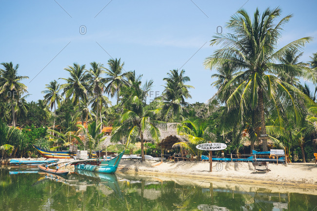 Arugam Bay, Sri Lanka - July 27, 2017: Boats moored under tropical palm trees in the Arugam Bay, Sri Lanka