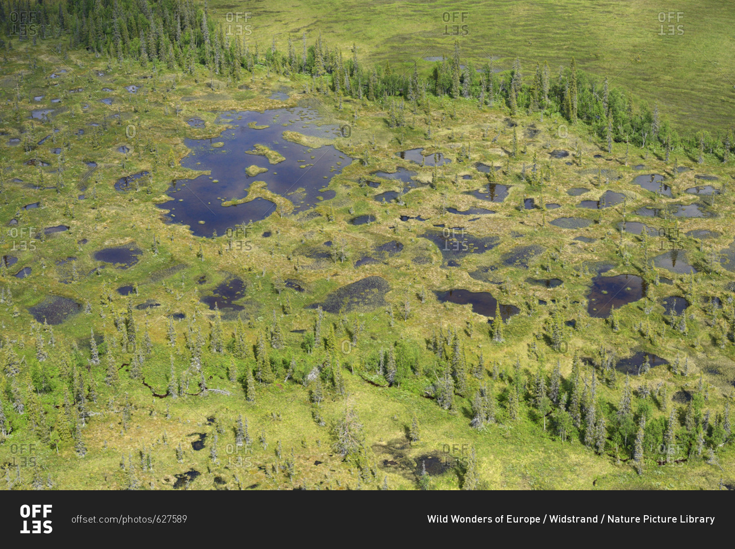 Aerial view of peat bogs and taiga boreal forest, Sjaunja Bird Protection Area, Greater Laponia Rewilding Area, Lapland, Norrbotten, Sweden, June 2013