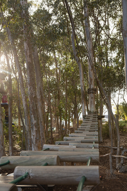 Zip line bridge in the forest