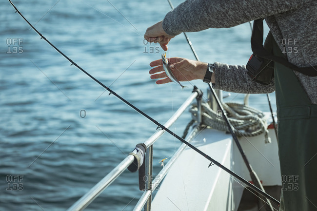 Mid section of fisherman removing fish from bait