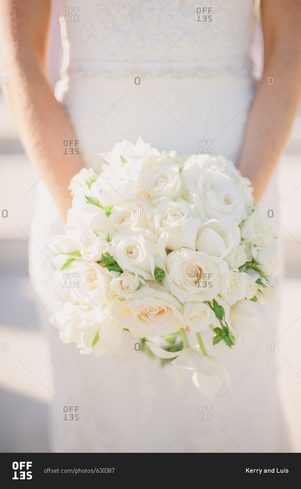 Bride holding wedding bouquet of white roses