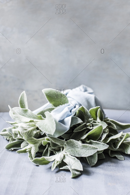 Bouquet of leaves lying on the table