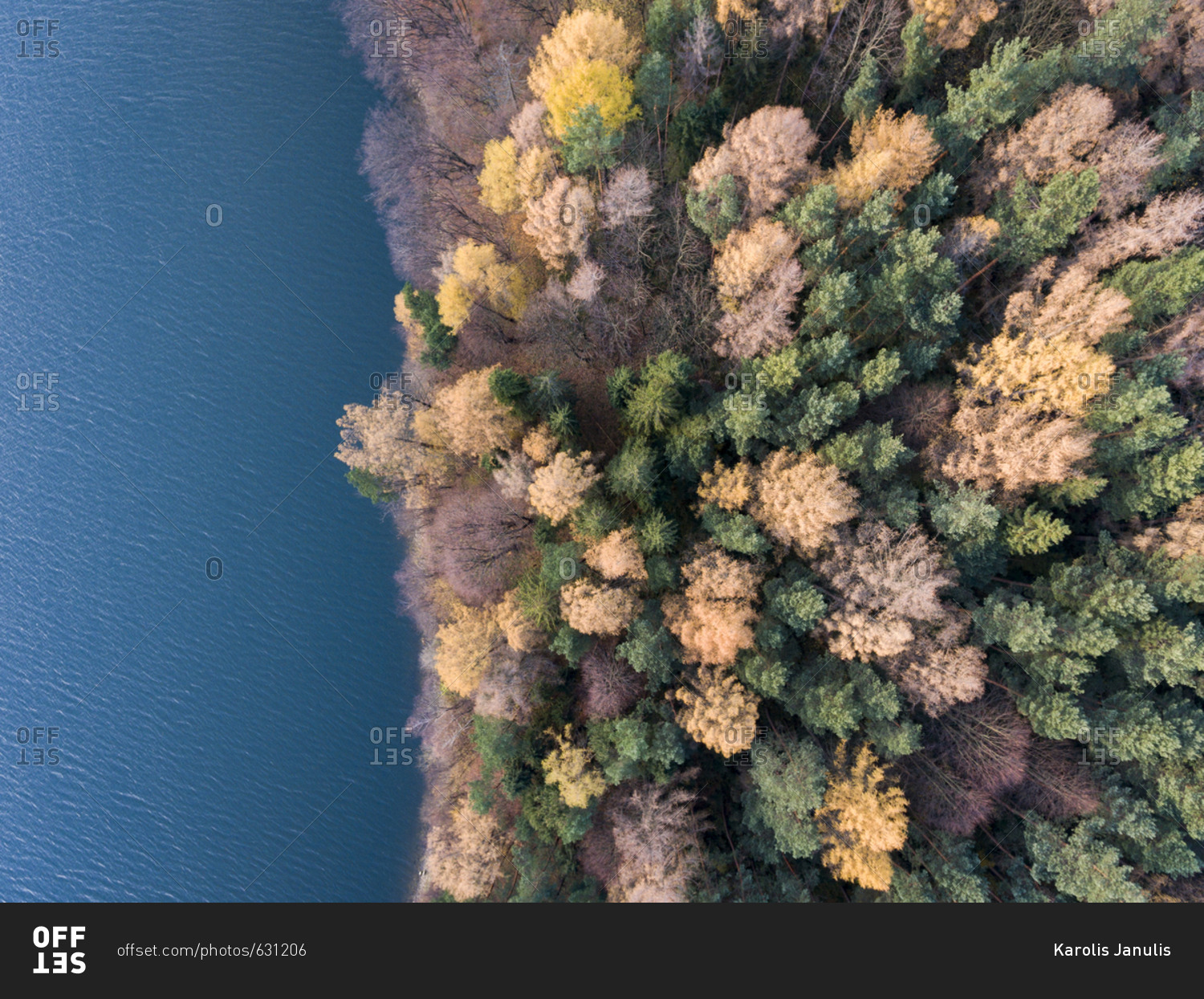 Aerial view of a colorful autumn forest beside blue water