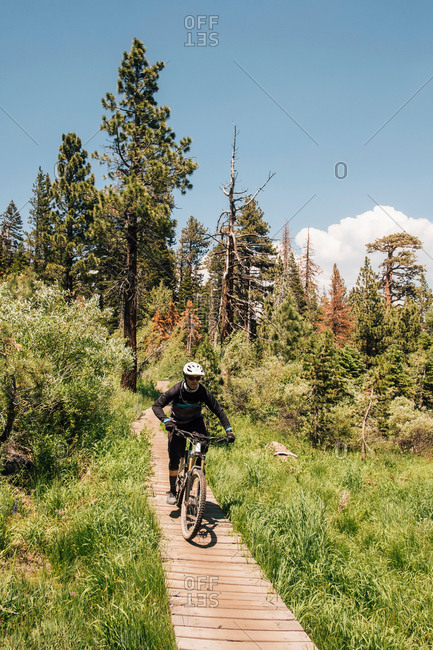 Man cycling on path through forest, Mammoth Lakes, California, USA, North America