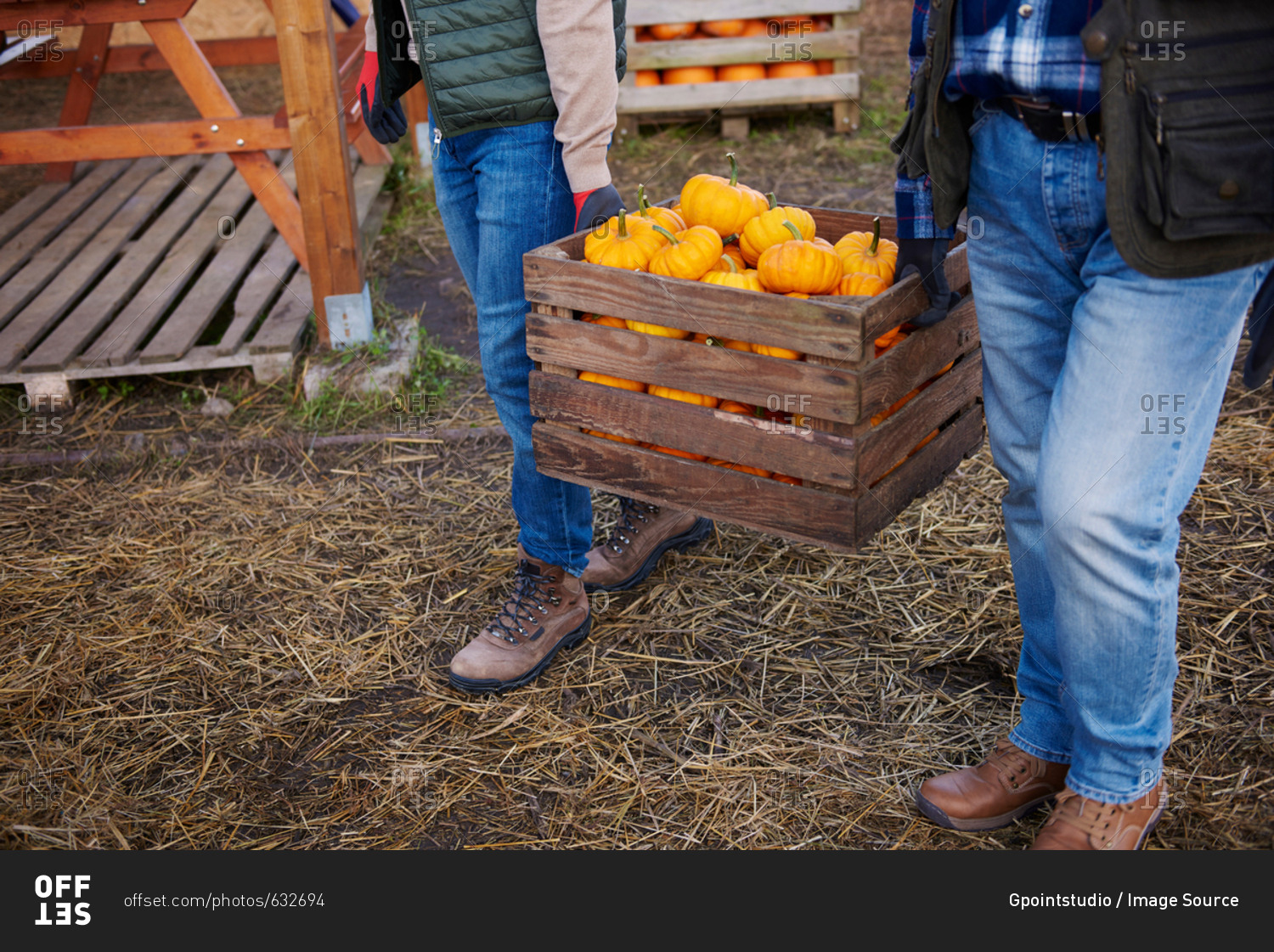 Farmers carrying crate of pumpkins