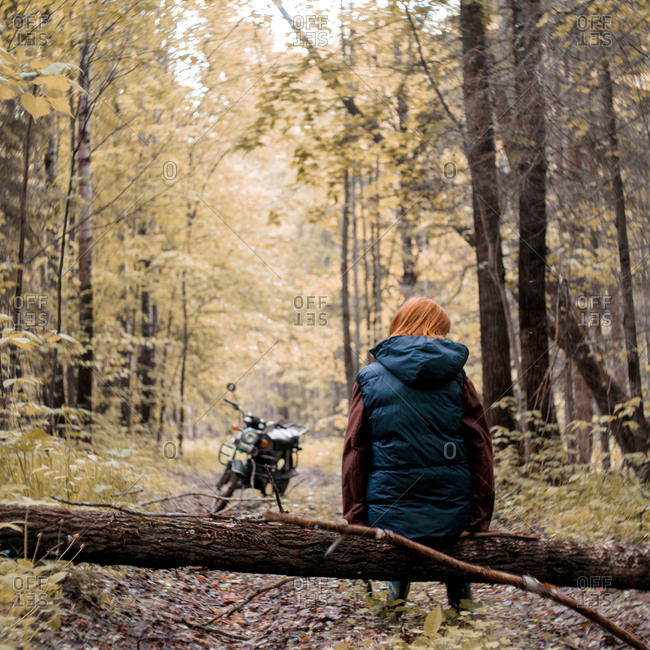 Forest bashkortostan ru проверить очередь на лес как