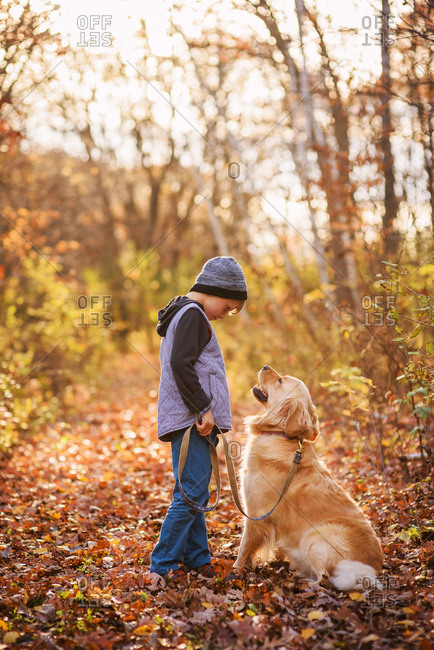 Young boy out on a walk with a golden retriever dog