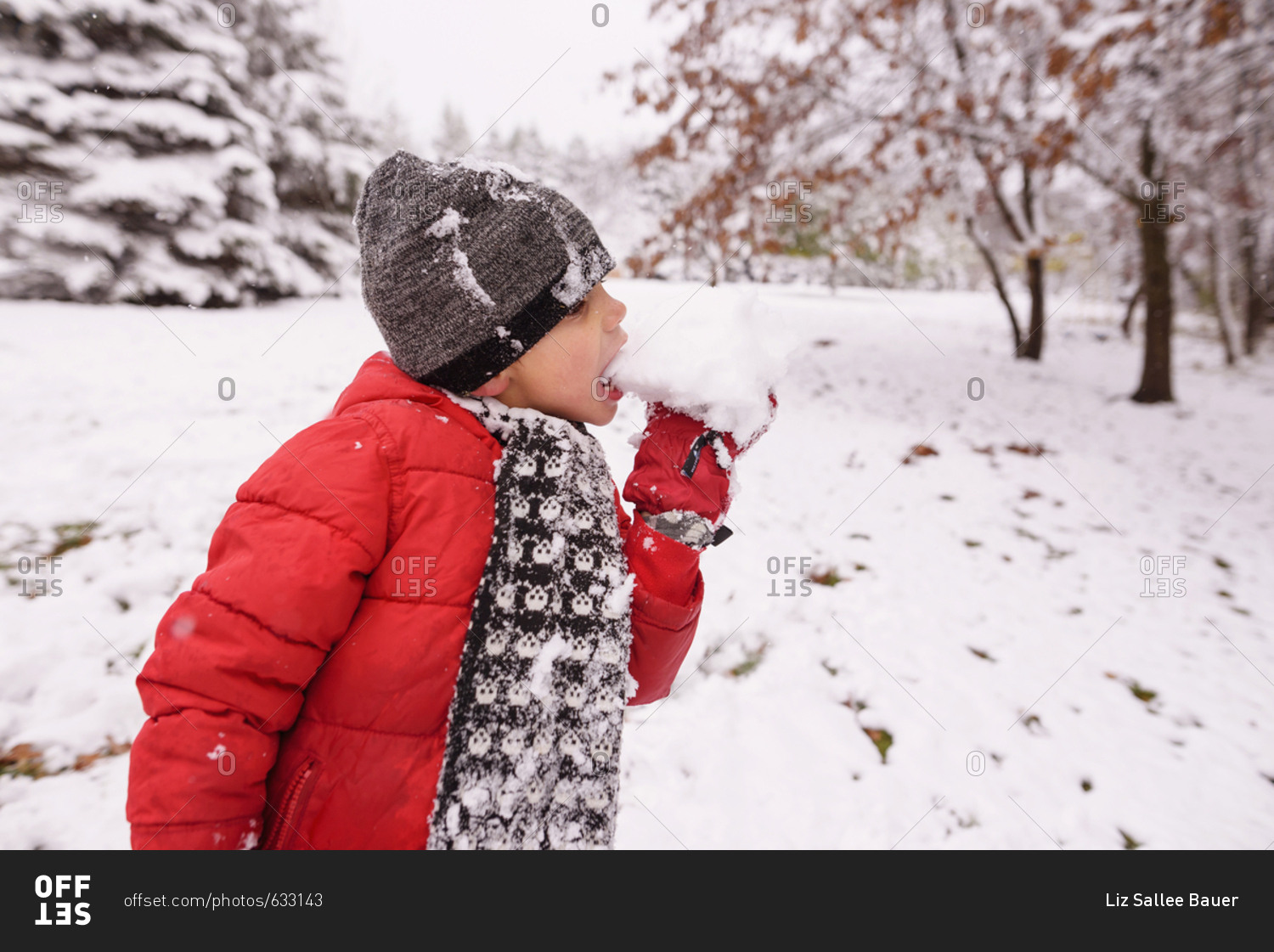Young boy eating fresh snow stock photo OFFSET
