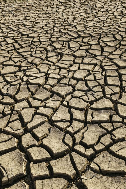 Dried and Cracked Earth, Dabhoi, Gujarat, India