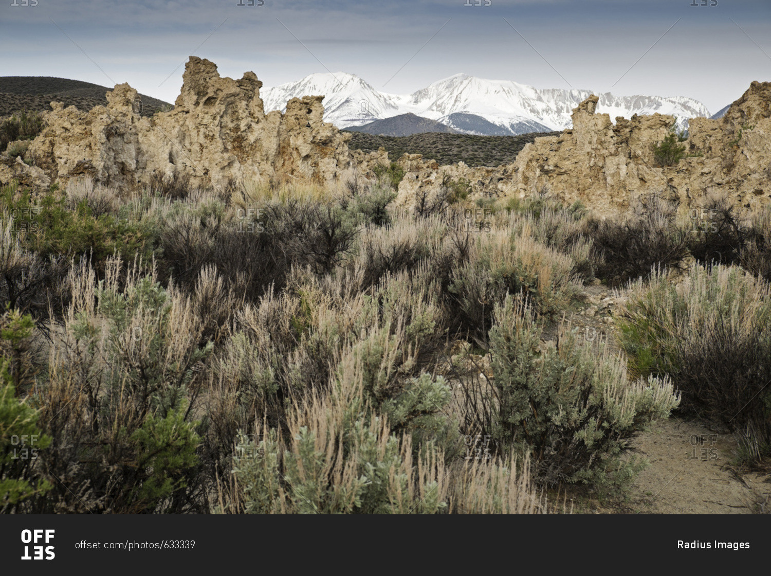 Rock formations and vegetation of Mono Lake with Sierra Nevada Mountains in the background in Eastern California, USA