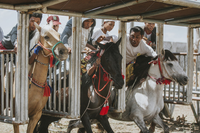 Indonesia, Sumbawa Besar - September 16, 2017: People motivating jockeys at starting gate during horse racing