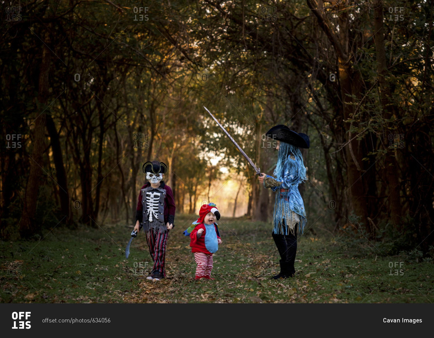 Siblings wearing Halloween Costumes while standing against trees at park