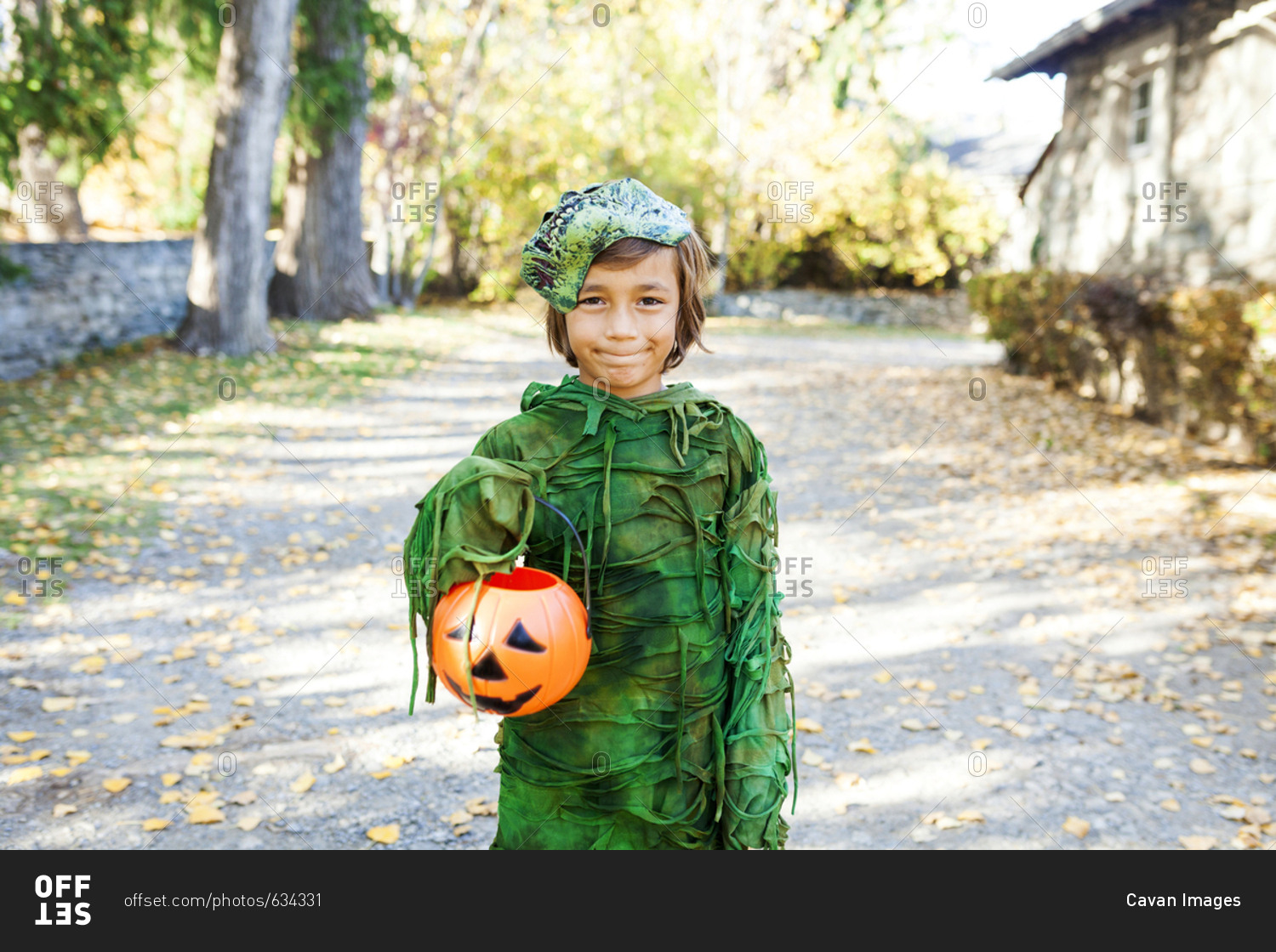 Portrait of boy wearing Halloween costume
