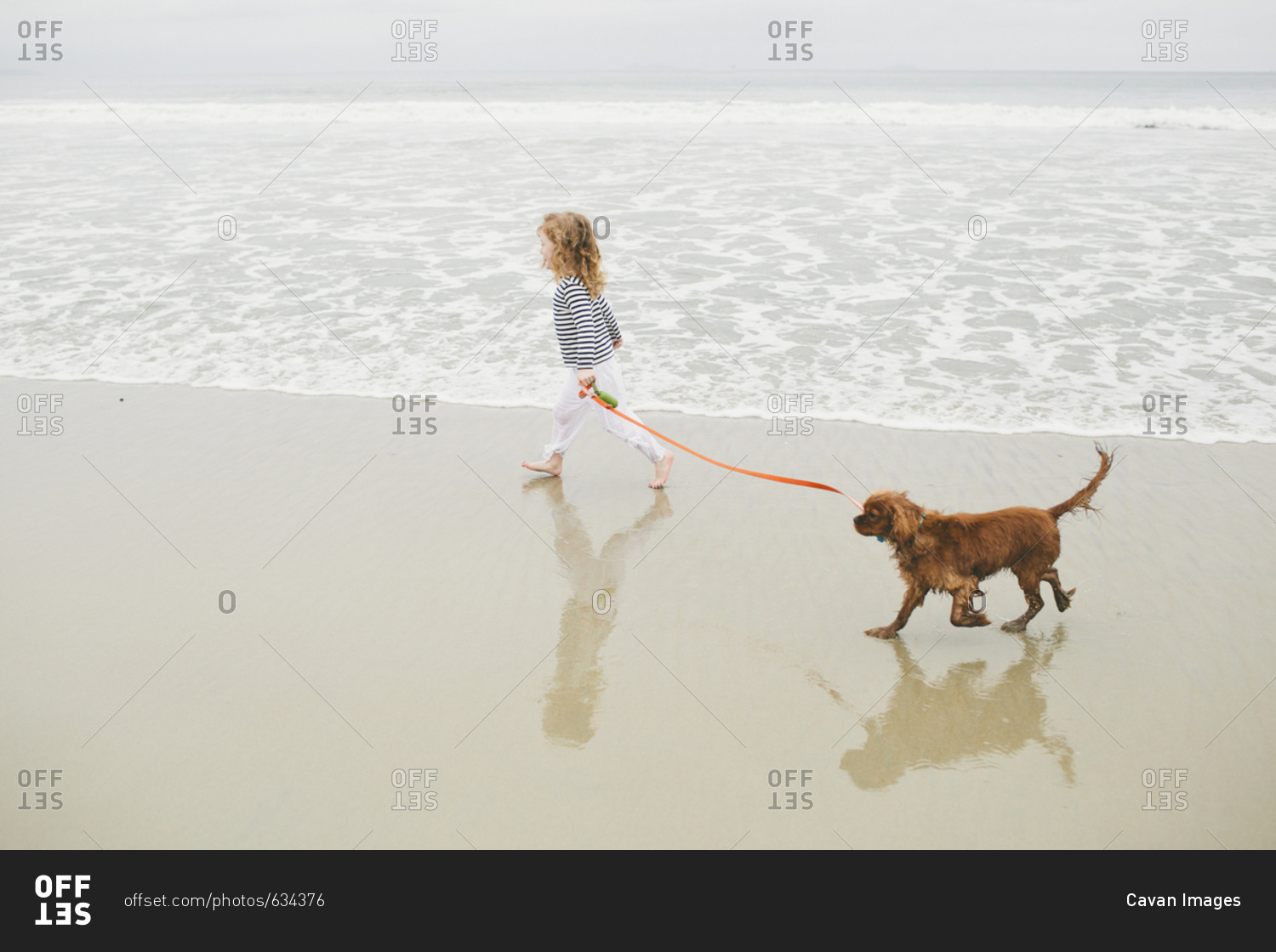High angle view of girl holding pet leash while walking with dog on shore at beach