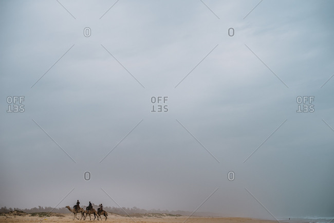 Lac Rose, Senegal - November 30, 2017: Three people riding camels in desert on dull day