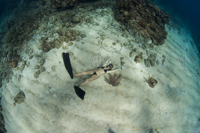 West End, West Bay, Roatan, Honduras - May 30, 2013: Woman blowing ring bubbles, free diving underwater off coast of Roatan Islands reef