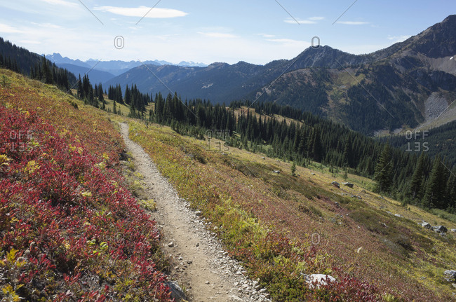 Hiking trail in the North Cascades, Pacific Crest Trail through pristine alpine wilderness, autumn, near Granite Pass, Pasayten Wilderness, Okanogan National Forest, Washington.