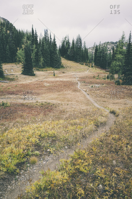 Hiking trail in the North Cascades, Pacific Crest Trail through pristine alpine wilderness, autumn, near Granite Pass, Pasayten Wilderness, Okanogan National Forest, Washington.