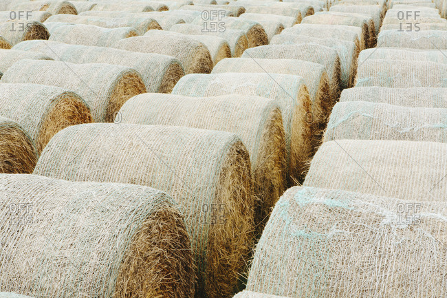 Round Bales Stock Photos Offset