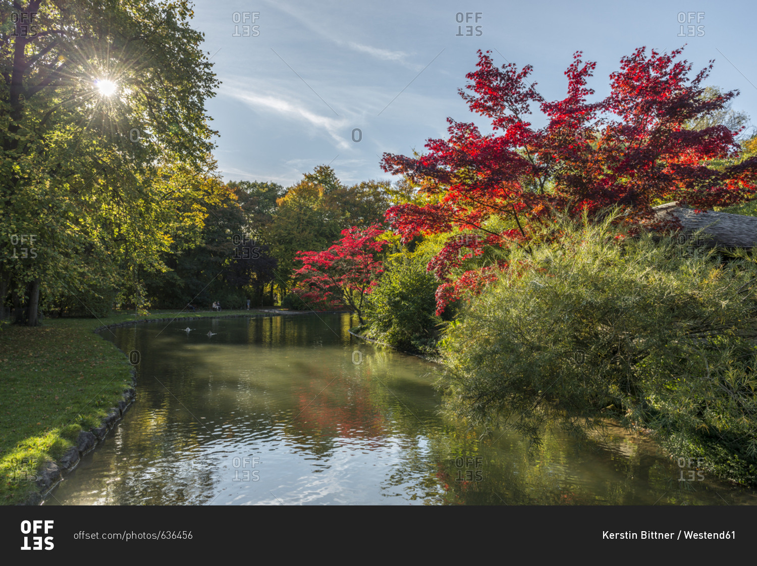 Germany- Bavaria- Munich- English Garden in autumn