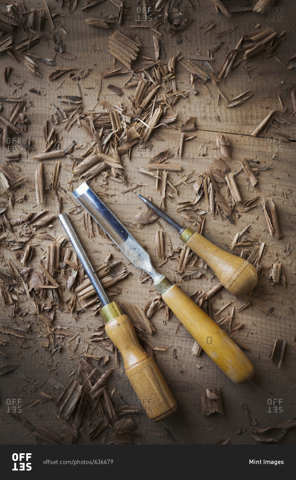 Three hand tools, chisels of different shapes and an awl in shavings on the surface of a piece of planed wood
