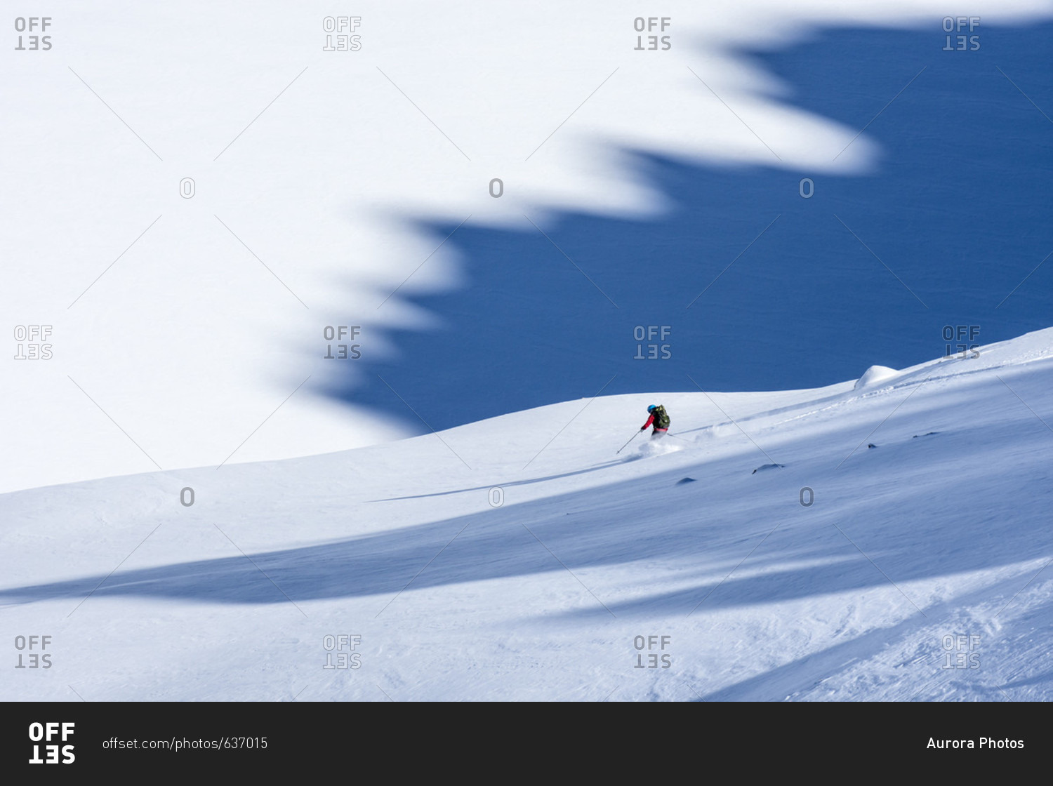 Woman backcountry skiing above Ophir Pass, San Juan National Forest, Silverton, Colorado, USA