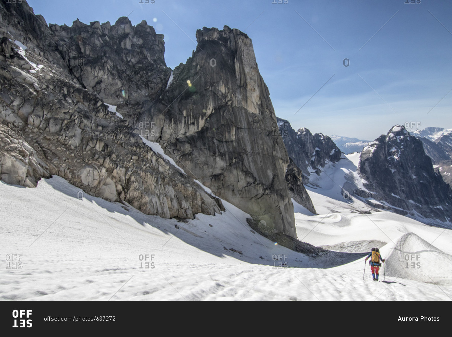 Rear view of mountain climber traversing glacier, Bugaboo Mountains, British Columbia, Canada