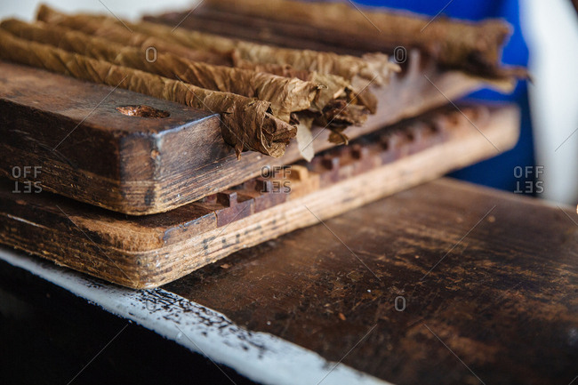 Cigars laid out ready in a press