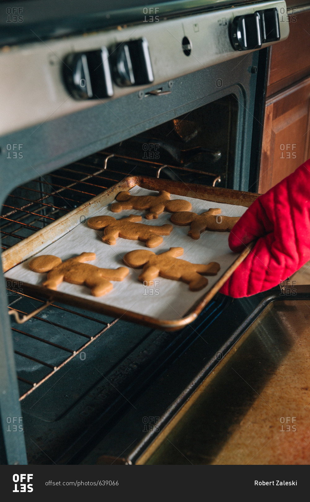 Woman removes fresh baked holiday cookies