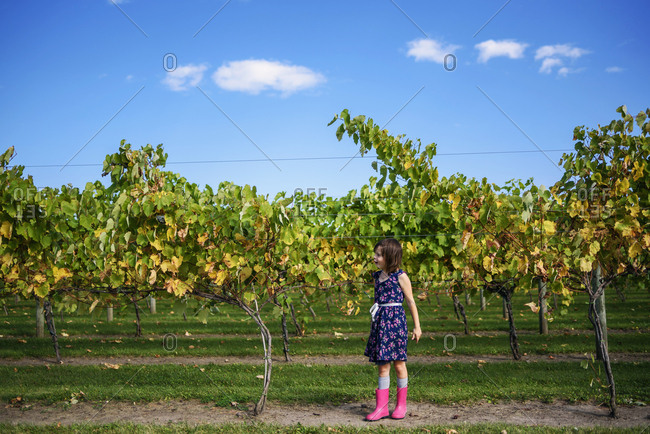 Young girl walking through a vineyard
