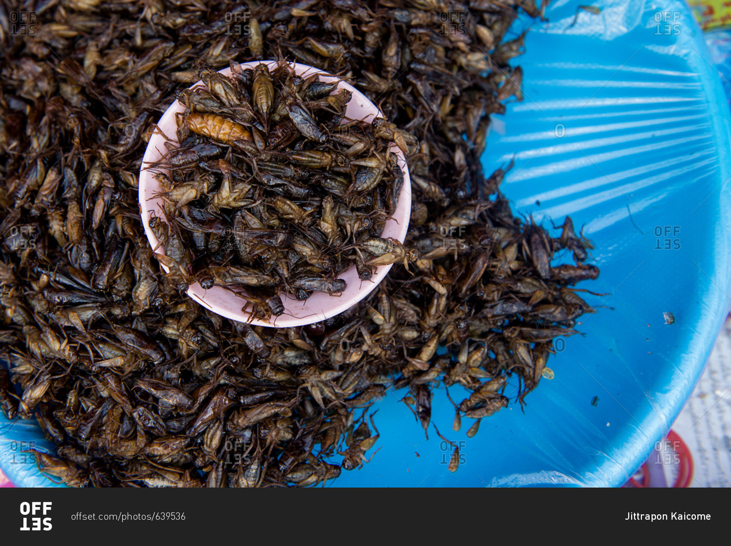 Fried grasshoppers in a bowl at the market in Chiang Mai, Thailand