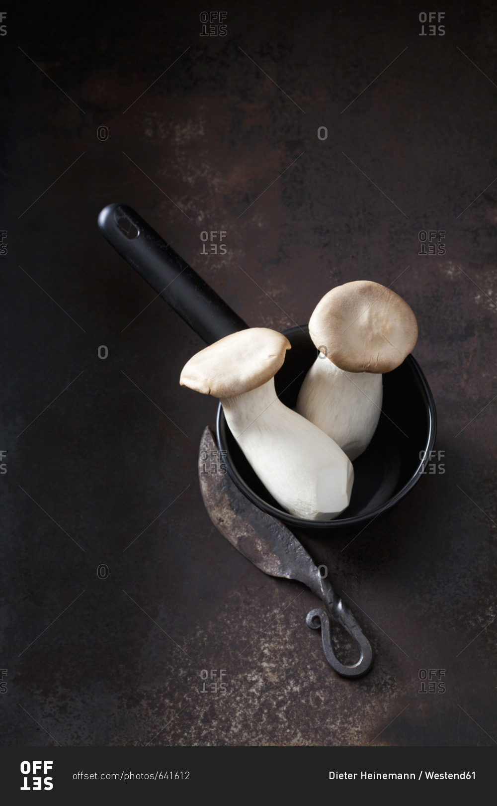 Two king trumpet mushrooms- saucepan and an old knife on rusty ground