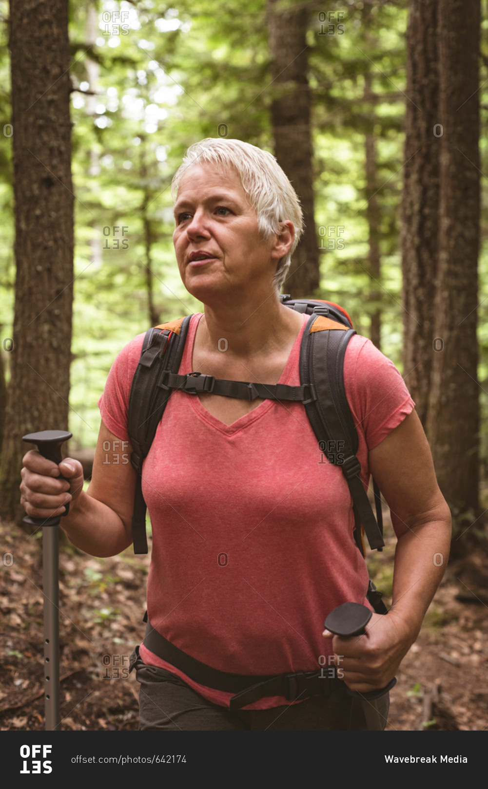 Mature woman with hiking poles walking in the forest