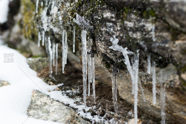 Close-up of icicles on rock during winter