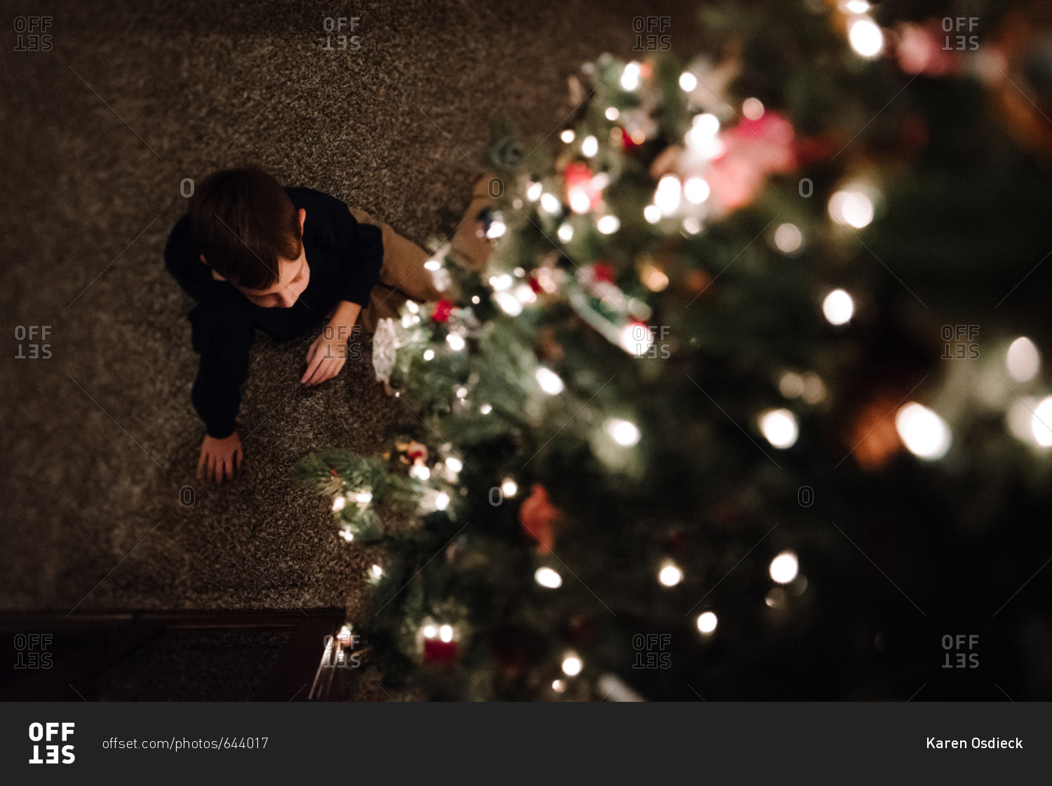 Boy sitting under a tree from above