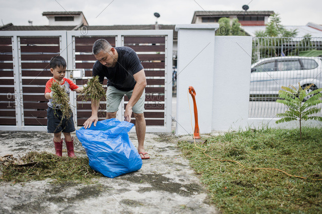 Father and son picking up lawn clippings
