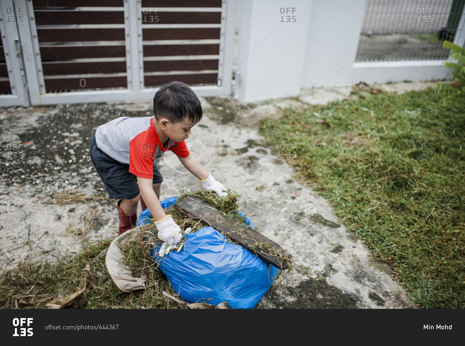 Boy putting yard waste into a blue bag